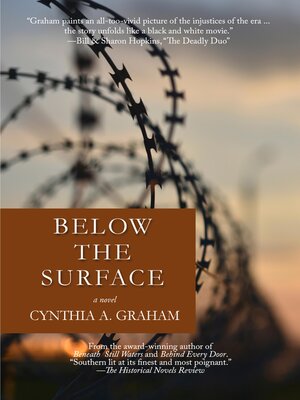 cover image of Below the Surface